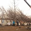 安徽最新银杏树价格/利洋场地银杏苗木基地