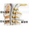 新乐颈椎病治疗哪家好找【孙氏骨科】