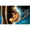 杭州女性健康机构/(iBABY)生育健康咨询