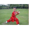石家庄少儿武术培训学校价格/常军武派太极拳