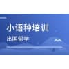 青岛高考小语种培训排名推荐|金榜文化学校