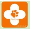 犬瘟-诺康宠物医院