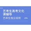 高三艺术生文化课辅导青岛哪家好|青岛金榜文化学校