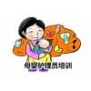 青岛市北母婴护理培训机构|德圣家专业家政服务