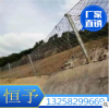 RXI-100型边坡防护网/恒予金属丝网