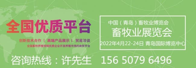 青岛1_副本_副本