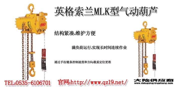 英格索兰气动葫芦1