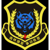 少儿军事夏令营/东莞森林狼军事拓展