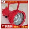 DGC175/127矿用隔爆型投光灯 探照灯